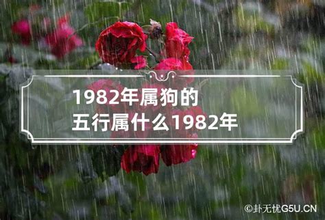 82年屬什麼|1982年属什么 1982年属什么五行